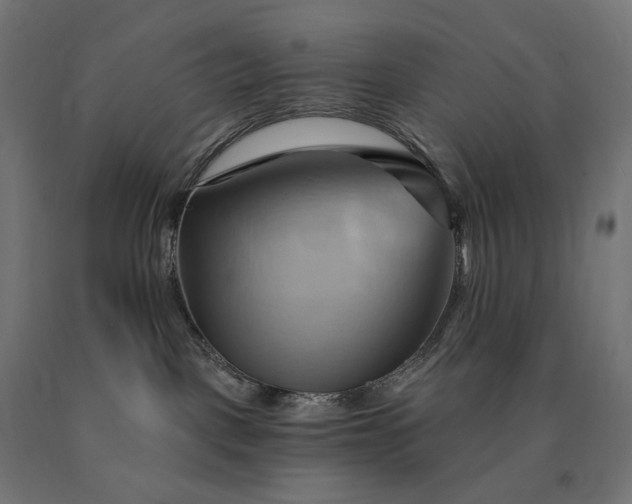 X0000090780093200708031725