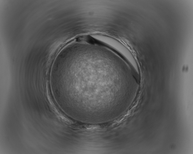 X0000090780097200708031724