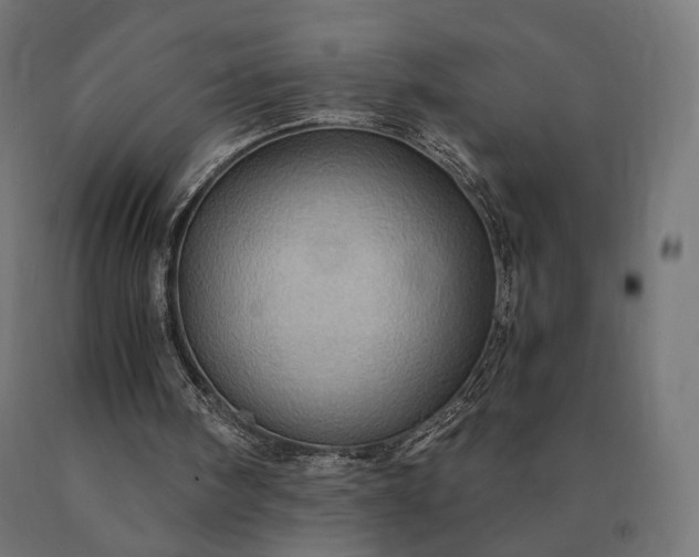 X0000090780098200708031724