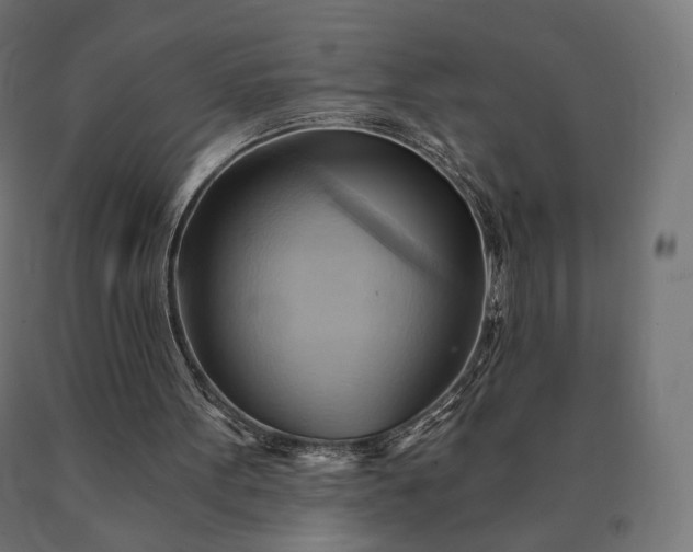 X0000090780099200708031724