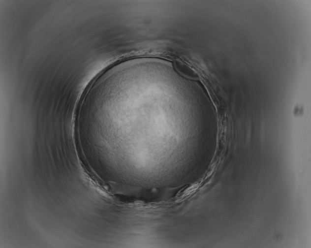 X0000090780100200708031724