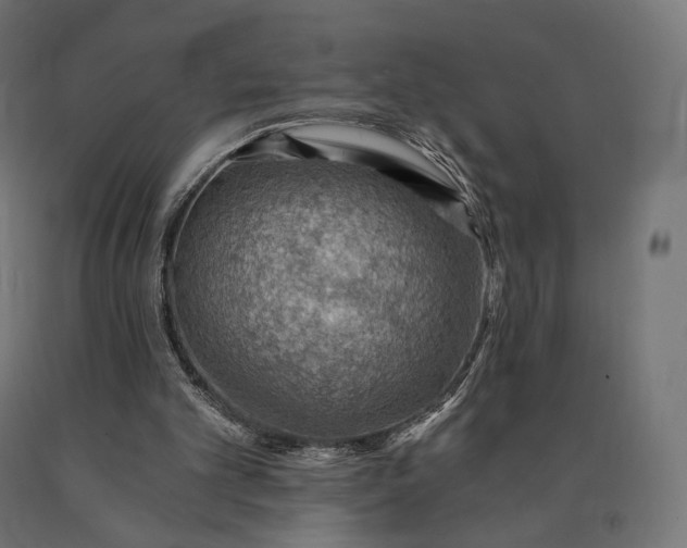 X0000090780101200708031724