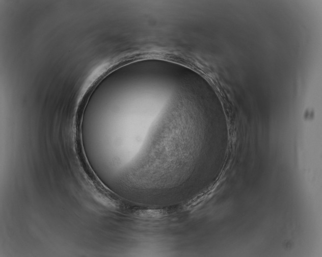 X0000090780102200708031724