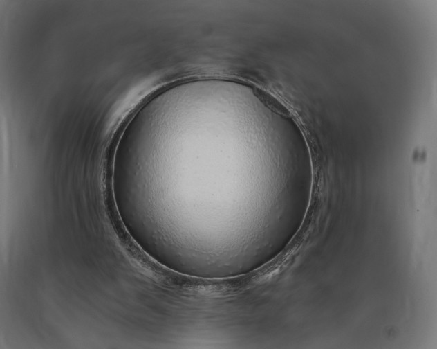 X0000090780103200708031724