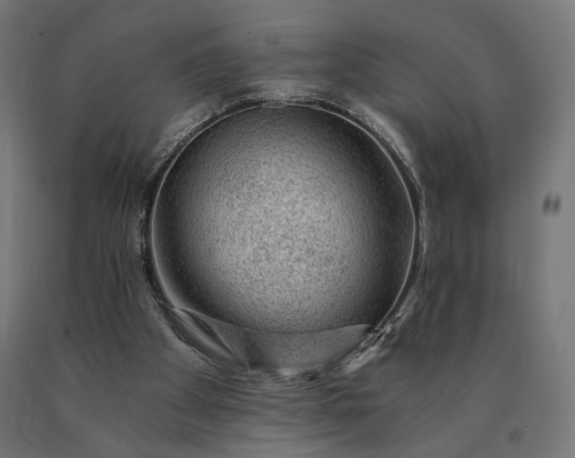 X0000090780105200708031724