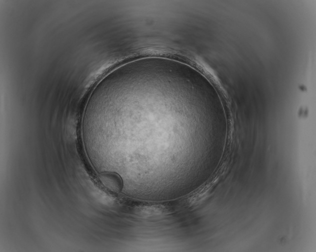 X0000090780106200708031724