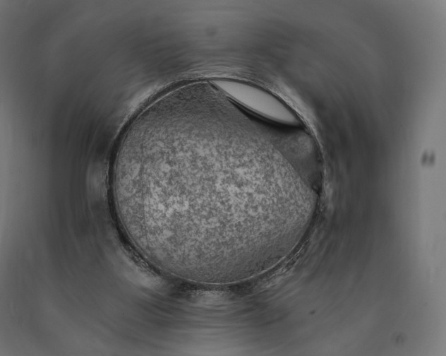 X0000090780107200708031724