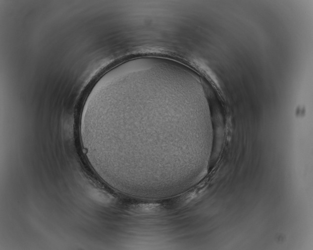 X0000090780108200708031724
