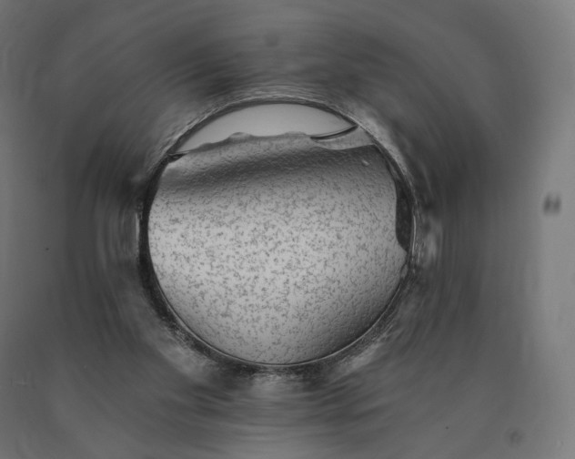 X0000090780109200708031724