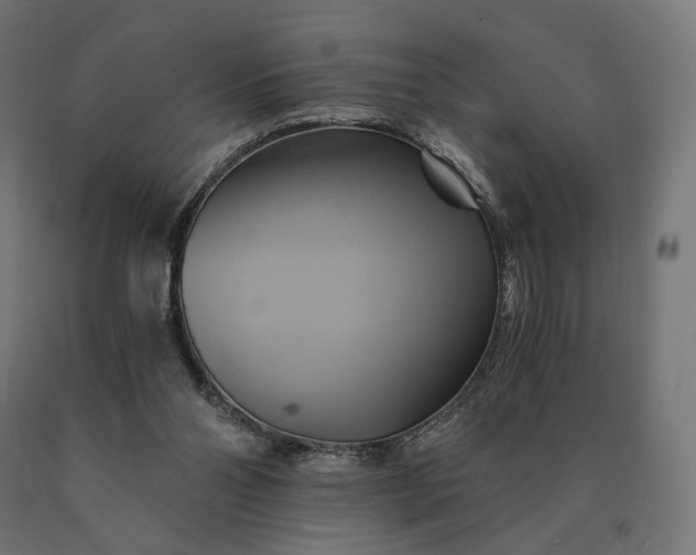 X0000090780110200708031724