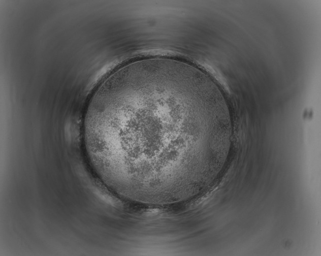 X0000090780111200708031724