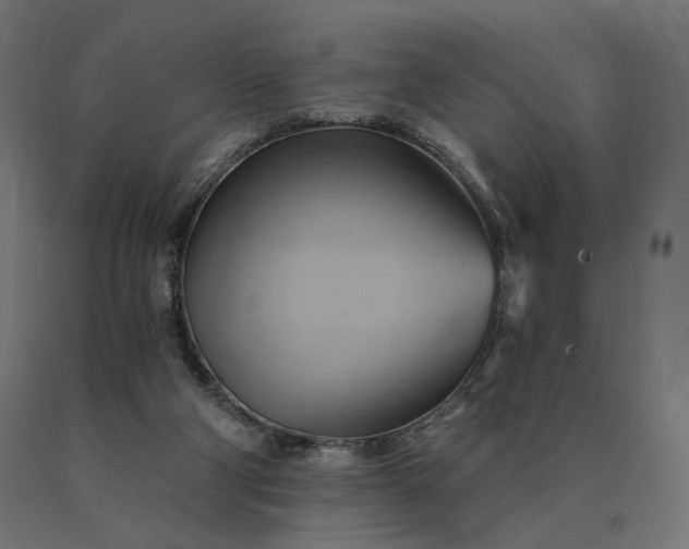 X0000090780114200708031724