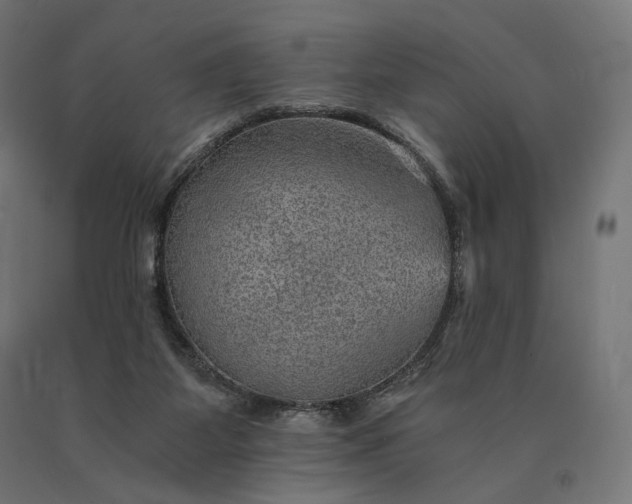 X0000090780115200708031724