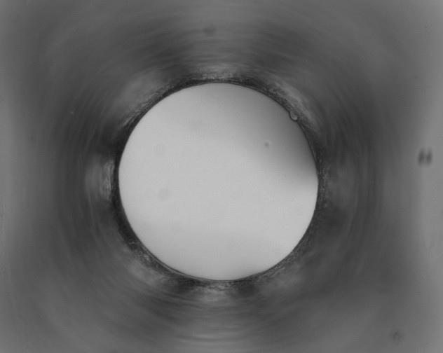X0000090780118200708031724