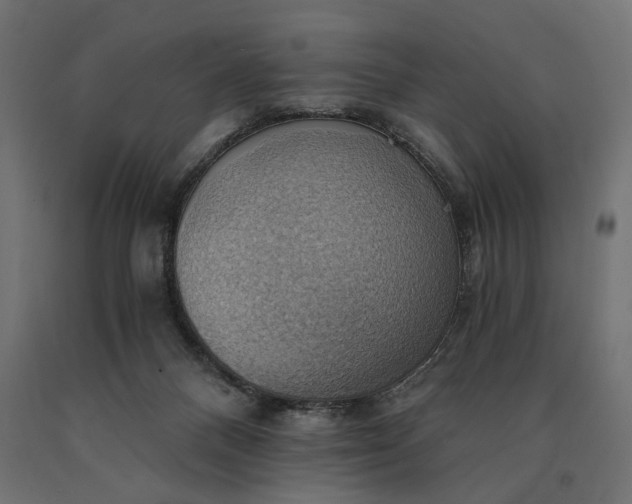X0000090780120200708031724