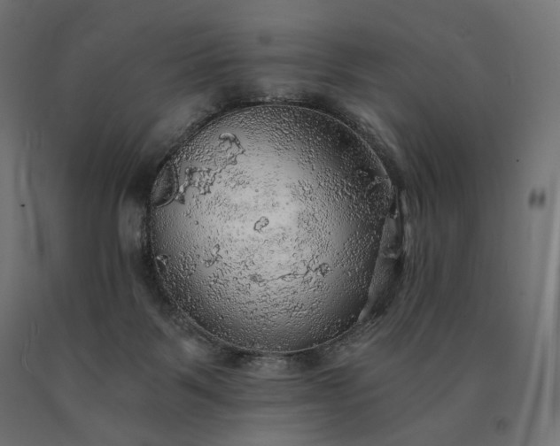X0000090780123200708031724