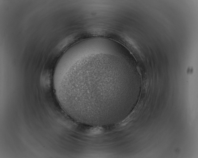 X0000090780124200708031724