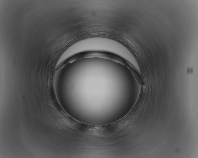 X0000090780125200708031724