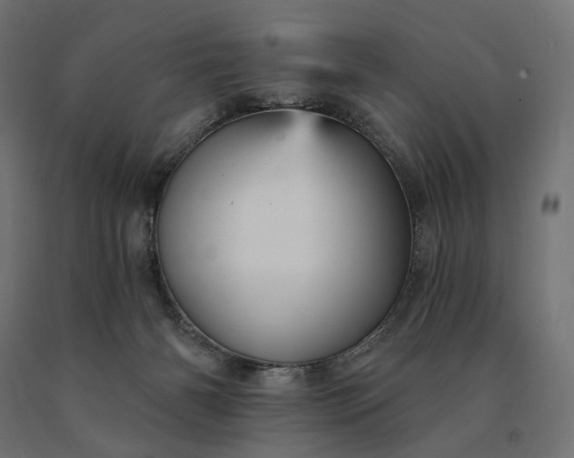 X0000090780126200708031724