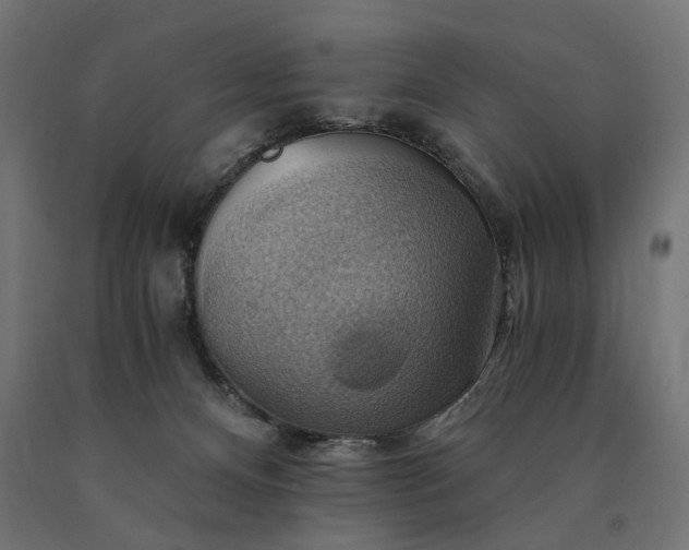 X0000090780128200708031724