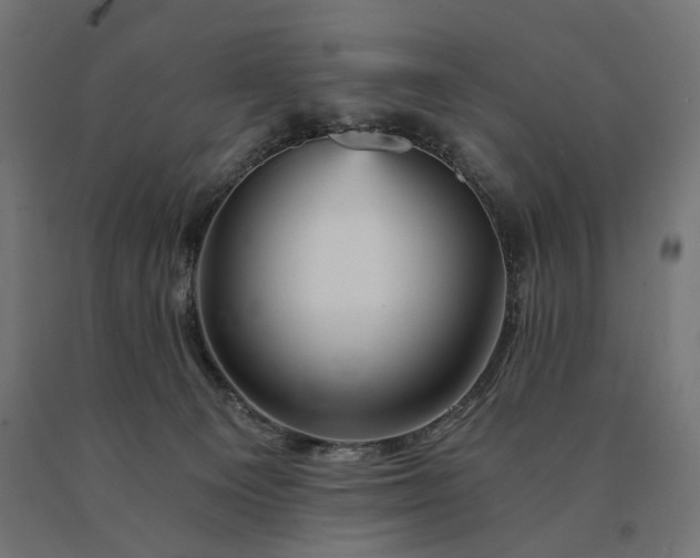 X0000090780129200708031724
