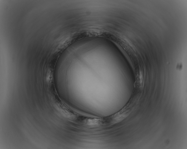 X0000090780134200708031724