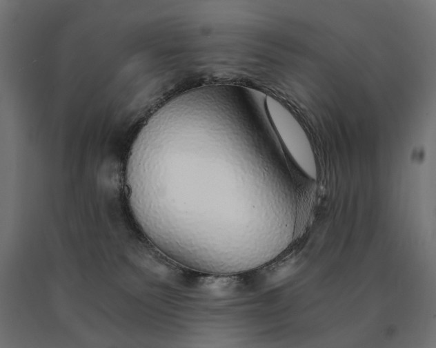 X0000090780135200708031724