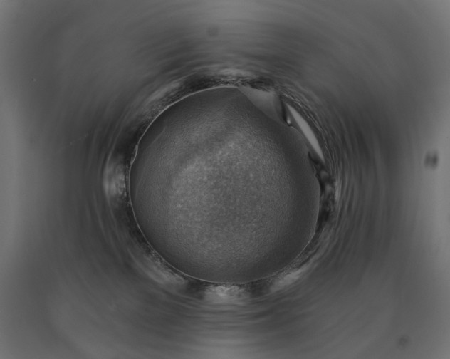 X0000090780137200708031723