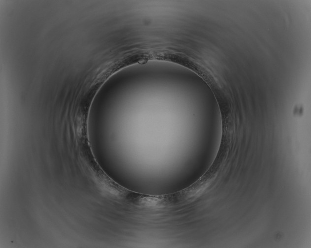 X0000090780139200708031723