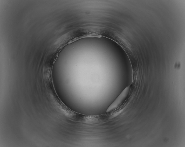 X0000090780141200708031723