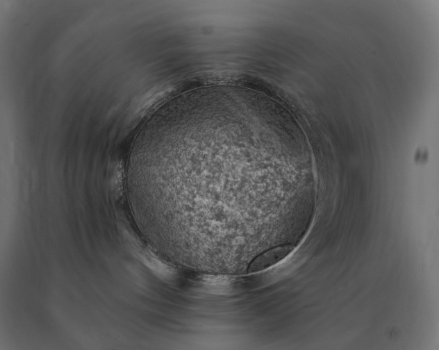 X0000090780144200708031723