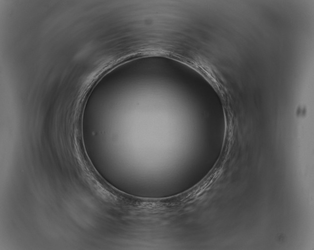 X0000090780145200708031723