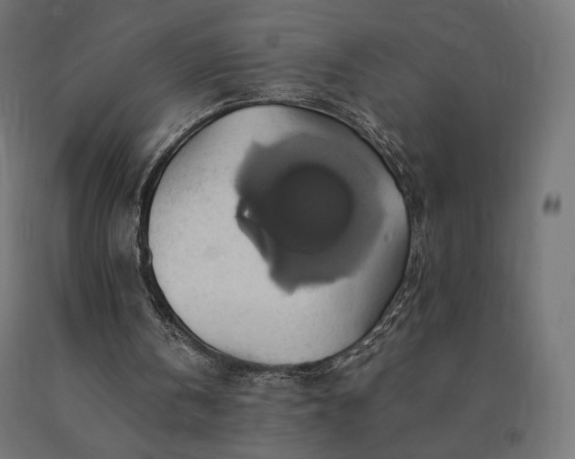 X0000090780146200708031723