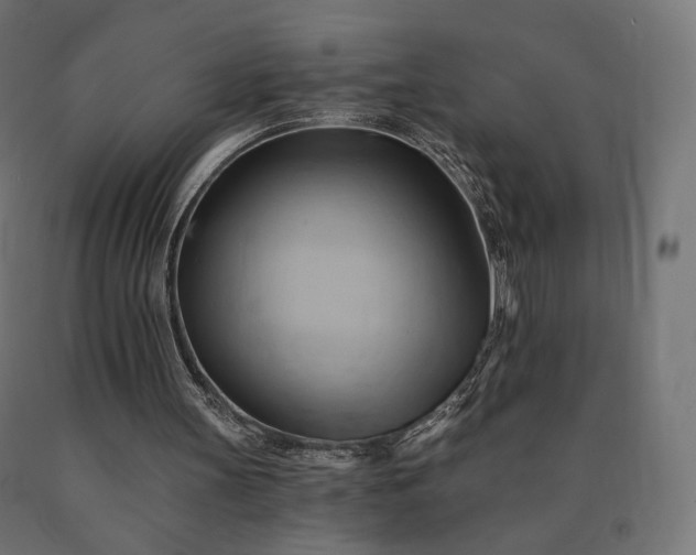 X0000090780147200708031723