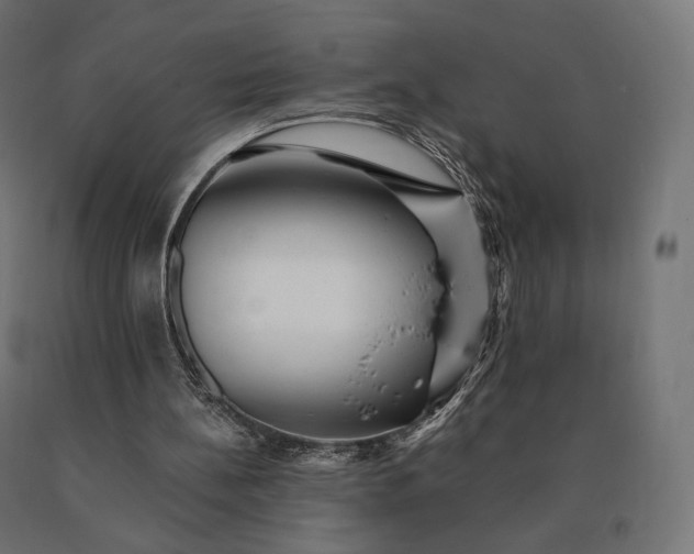 X0000090780148200708031723