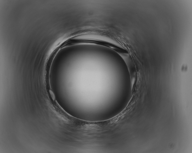 X0000090780150200708031723