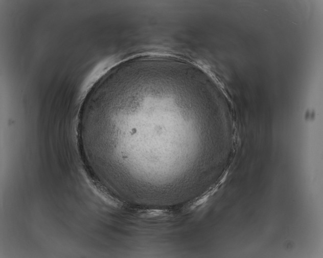 X0000090780151200708031723