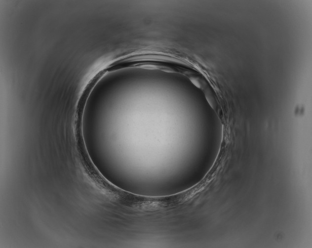 X0000090780152200708031723