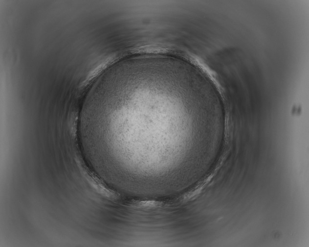 X0000090780153200708031723