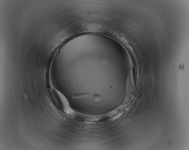 X0000090780154200708031723