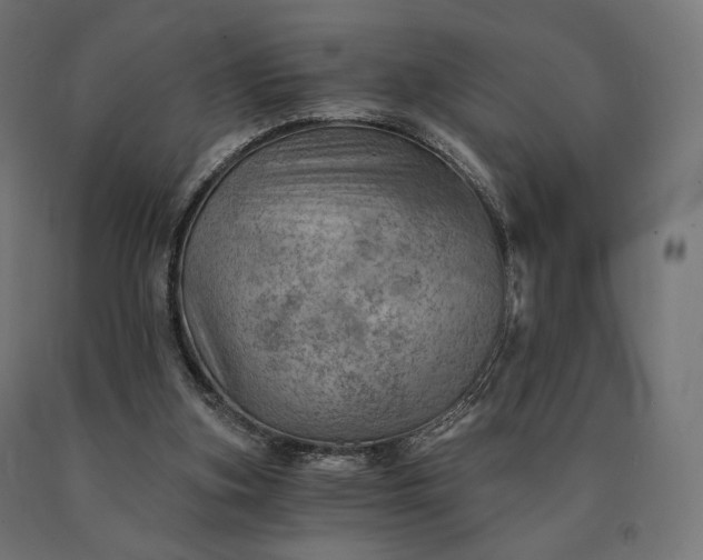 X0000090780155200708031723