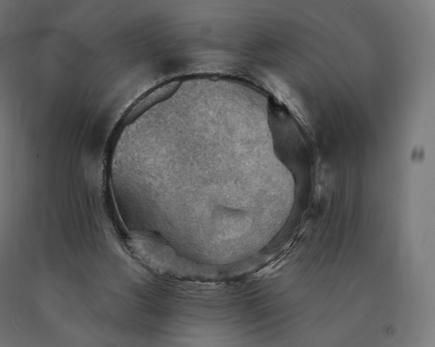 X0000090780156200708031723