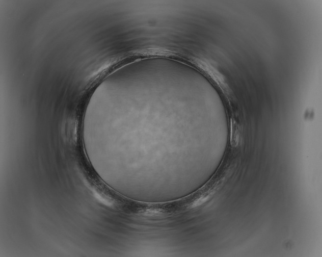 X0000090780157200708031723