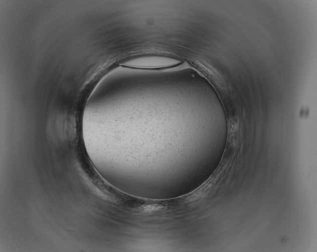 X0000090780158200708031723
