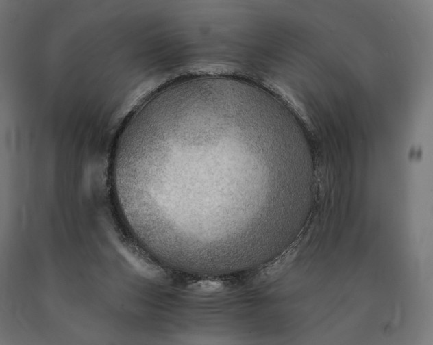 X0000090780159200708031723