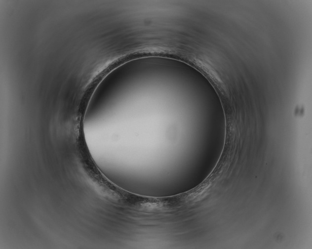 X0000090780160200708031723