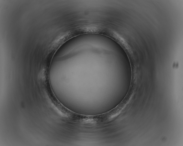 X0000090780161200708031723