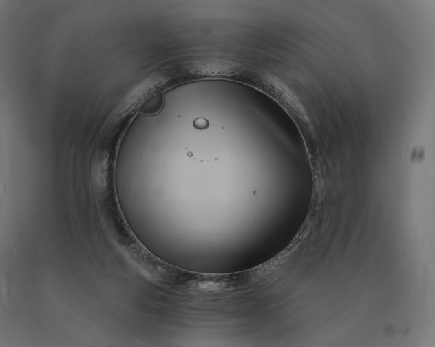 X0000090780163200708031723