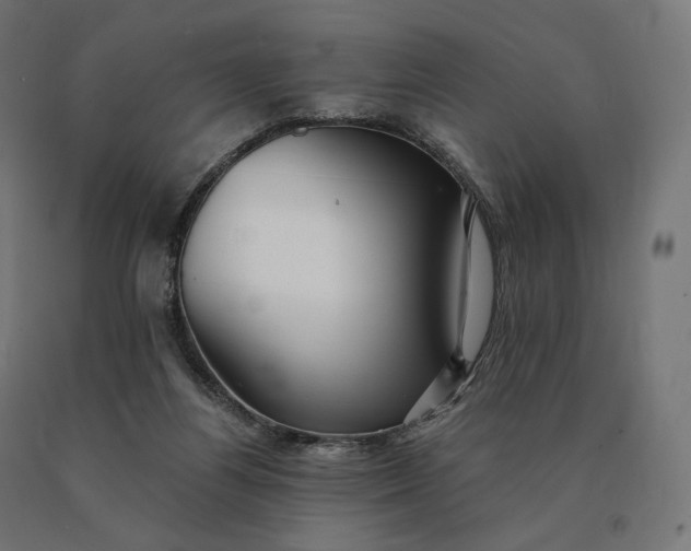 X0000090780164200708031723
