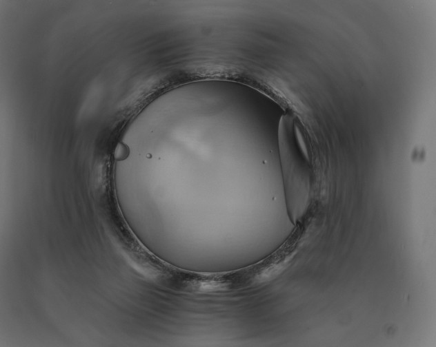 X0000090780165200708031723